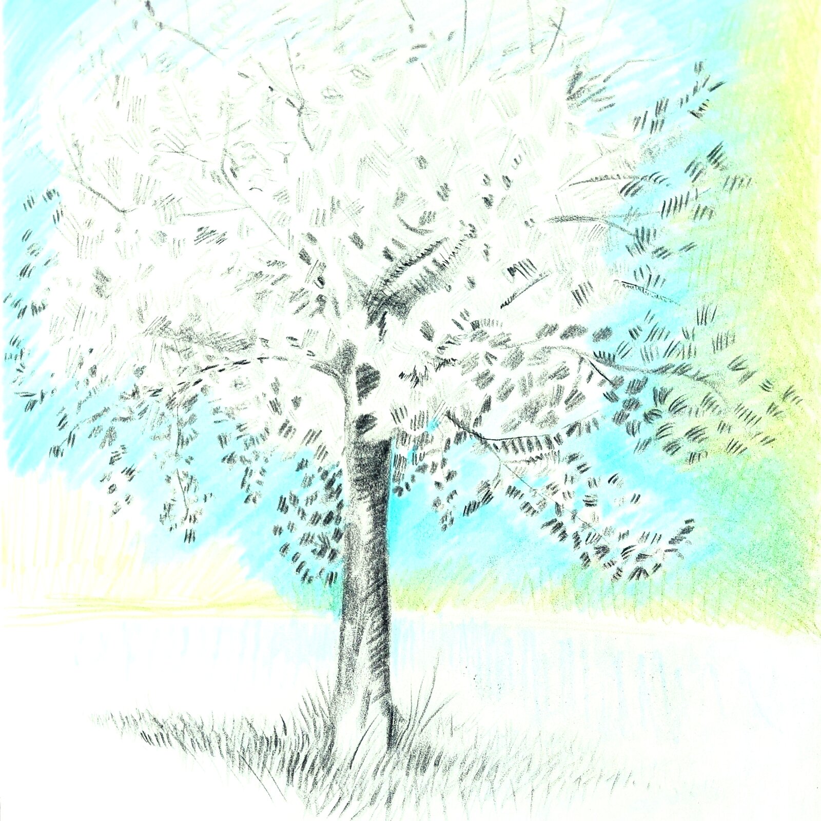 tree