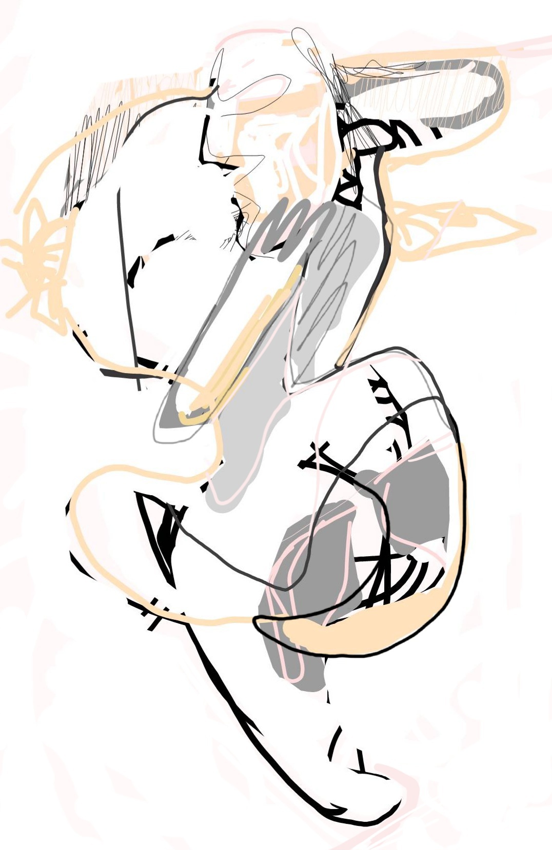 Nin