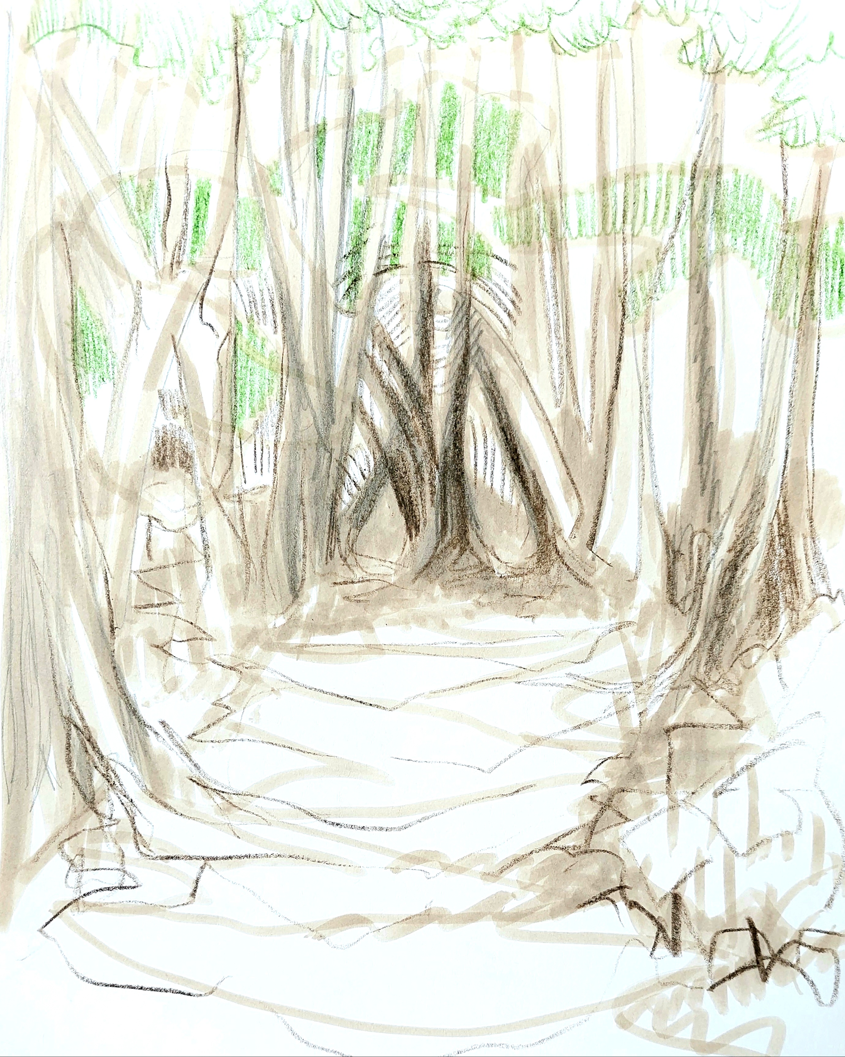 forest